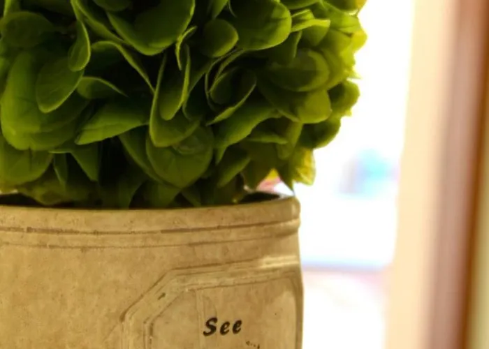 Sunny Flat Διαμέρισμα